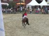 jumper Chwupdiwup 3 (KWPN (Royal Dutch Sporthorse), 2006, from Pkz Contact van de Heffinck)