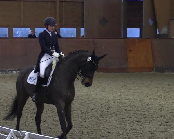Reitturnier Buchholz in der Nordheide 2021