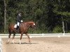 dressage horse Flambeau Alezan (Westphalian, 2007, from Fuerto)