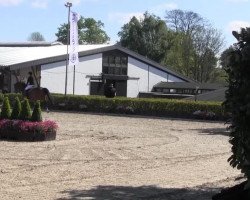 jumper Little gun 15 (Oldenburg show jumper, 2004, from Lord Pezi)