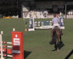 jumper Charly 1493 (Hanoverian, 2007, from Chequille 2)