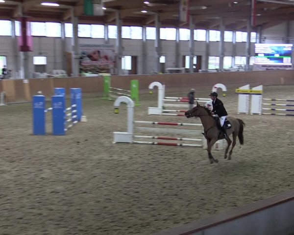 Reitturnier Prussendorf 2021