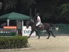 jumper Indorado 5 (Hanoverian, 2008, from Iberio)