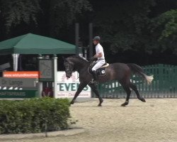 jumper Indorado 5 (Hanoverian, 2008, from Iberio)