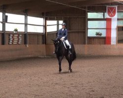 dressage horse Rudi H (Westphalian, 2007, from Riccio)