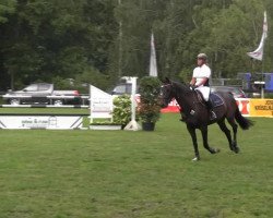 Springpferd Dilara 10 (KWPN (Niederländisches Warmblut),  , von Aeolus)