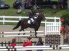 jumper Cara Mia 84 (Oldenburg show jumper, 2008, from Casiro I)