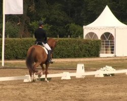 dressage horse Drops of Jupiter (Hanoverian, 2007, from Desperados FRH)