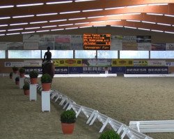 dressage horse Donna Fantasia 3 (Hanoverian, 2007, from Dimaggio)