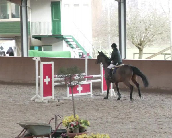 Reitturnier Lahr-Langenwinkel 2021