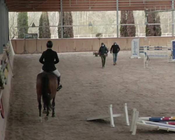 Reitturnier Lahr-Langenwinkel 2021