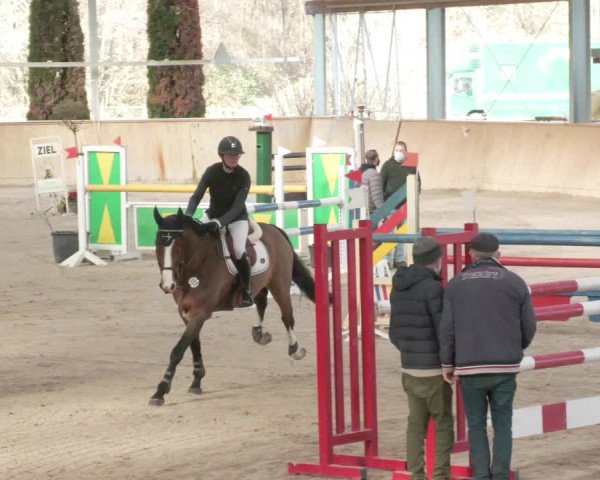 Reitturnier Lahr-Langenwinkel 2021