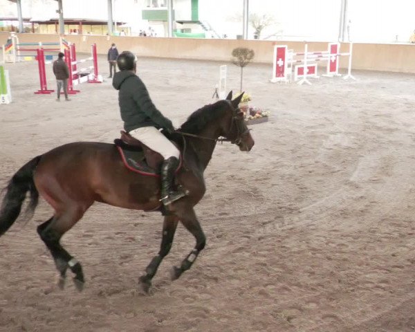 Reitturnier Lahr-Langenwinkel 2021