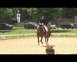 dressage horse Floyd 69 (Oldenburg, 2006, from Florestan I)