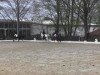 dressage horse No Merci (German Riding Pony, 1998)