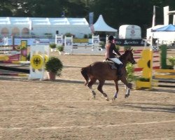 jumper Wiktor 3 (German Sport Horse, 2006, from Waldeck)