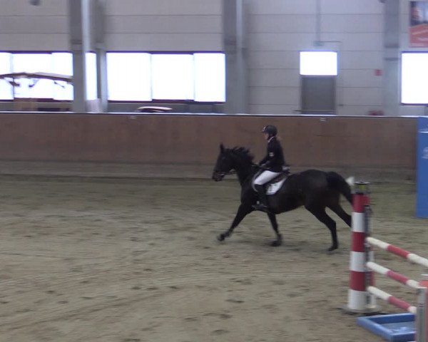 Reitturnier Prussendorf 2021