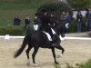 dressage horse Valentino (KWPN (Royal Dutch Sporthorse), 1999, from Welt Hit II)