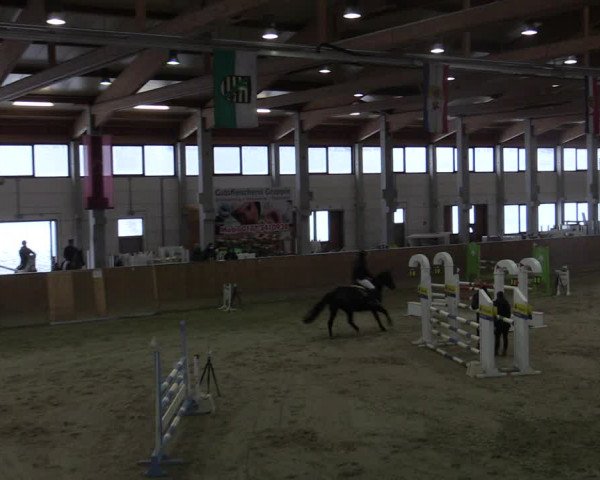 Reitturnier Prussendorf 2021