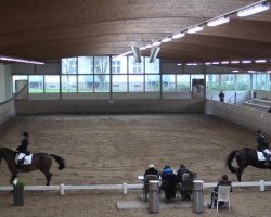 dressage horse Grandeur Loyale (Westphalian, 1997, from Greifswald)