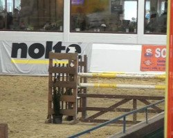 jumper Boris (unknown, 2006)