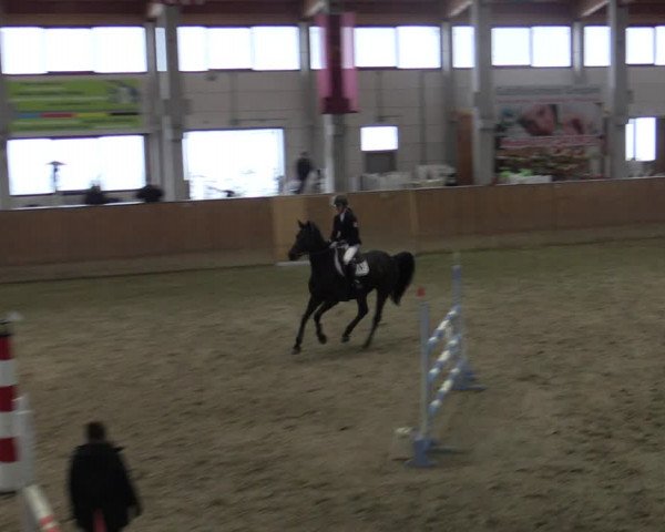 Reitturnier Prussendorf 2021