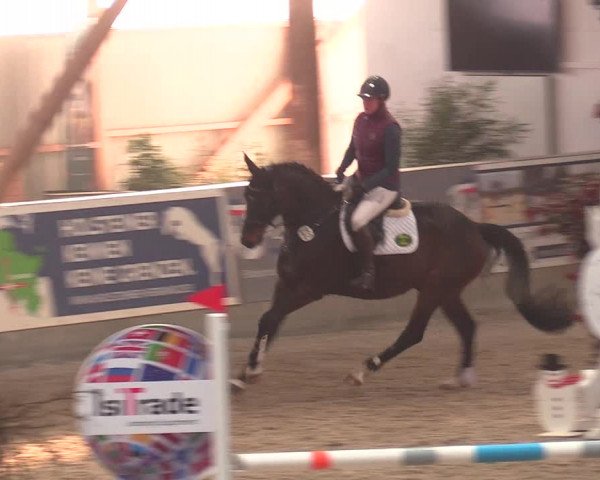 Reitturnier Negernbötel 2021, 9. Nordic Jumping event 2020/2021