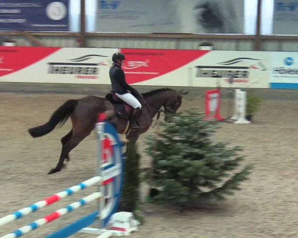 Reitturnier Negernbötel 2021, 9. Nordic Jumping event 2020/2021