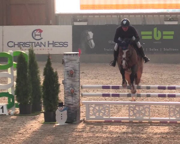 Reitturnier Negernbötel 2021, 9. Nordic Jumping event 2020/2021