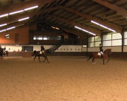 dressage horse La Luna 333 (Westphalian, 2008, from Let de Lember)