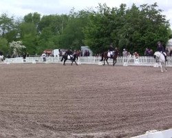 dressage horse Rieke 134 (Pony without race description, 1998)