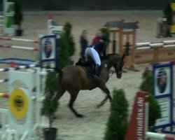 jumper Pepina Peach 2 (Polish Warmblood, 2006, from Pink Floyd HL)