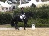 dressage horse Teade G.B. (Friese, 2006, from Botte 414)