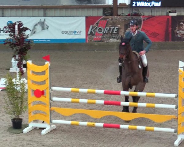 Reitturnier Negernbötel 2021, 9. Nordic Jumping event 2020/2021
