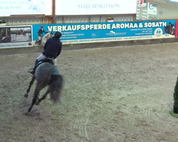 Reitturnier Negernbötel 2021, 9. Nordic Jumping event 2020/2021