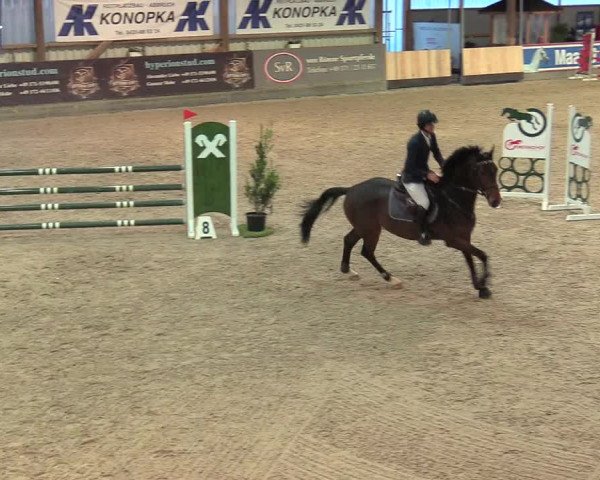 Reitturnier Negernbötel 2021, 9. Nordic Jumping event 2020/2021