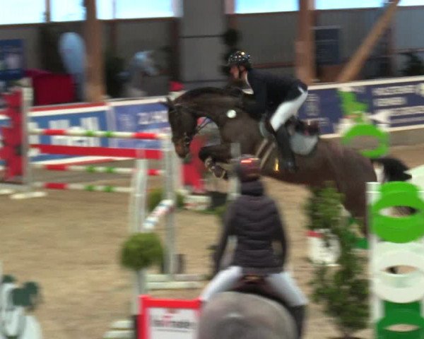 Reitturnier Negernbötel 2021, 9. Nordic Jumping event 2020/2021