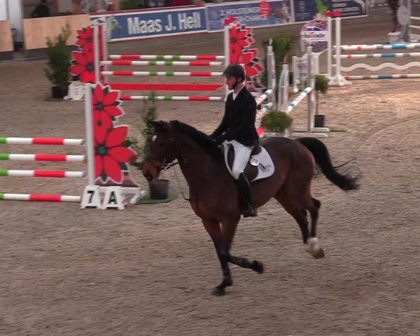 Reitturnier Negernbötel 2021, 9. Nordic Jumping event 2020/2021