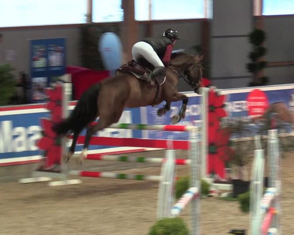 Reitturnier Negernbötel 2021, 9. Nordic Jumping event 2020/2021