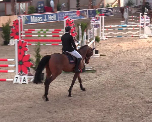 Reitturnier Negernbötel 2021, 9. Nordic Jumping event 2020/2021