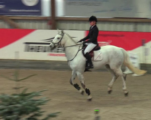 Reitturnier Negernbötel 2021, 9. Nordic Jumping event 2020/2021