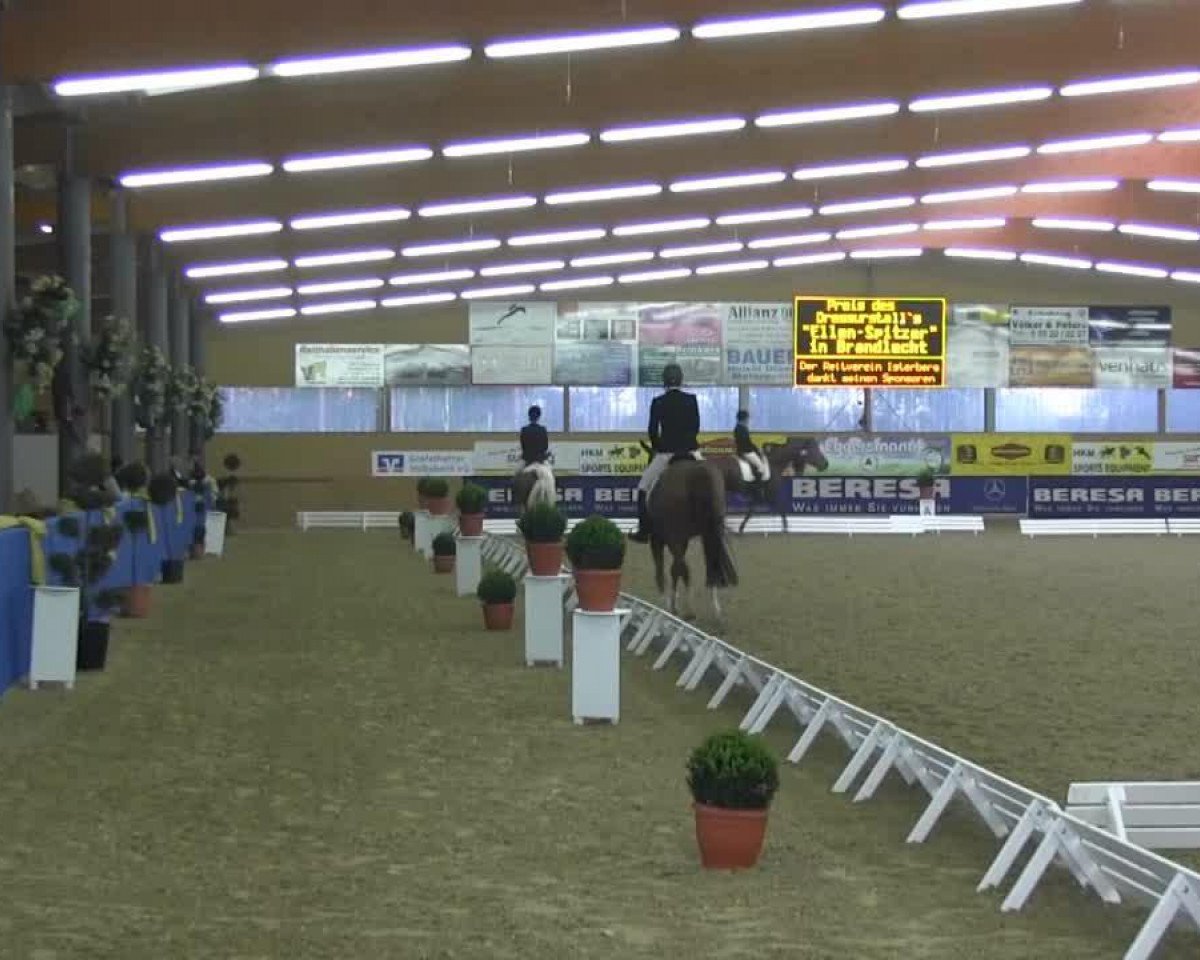 dressage horse Welt-Go (Hanoverian, 2005, from Weltmeyer)
