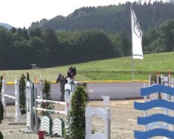 jumper Chester 261 (German Riding Pony, 2007, from Champion)