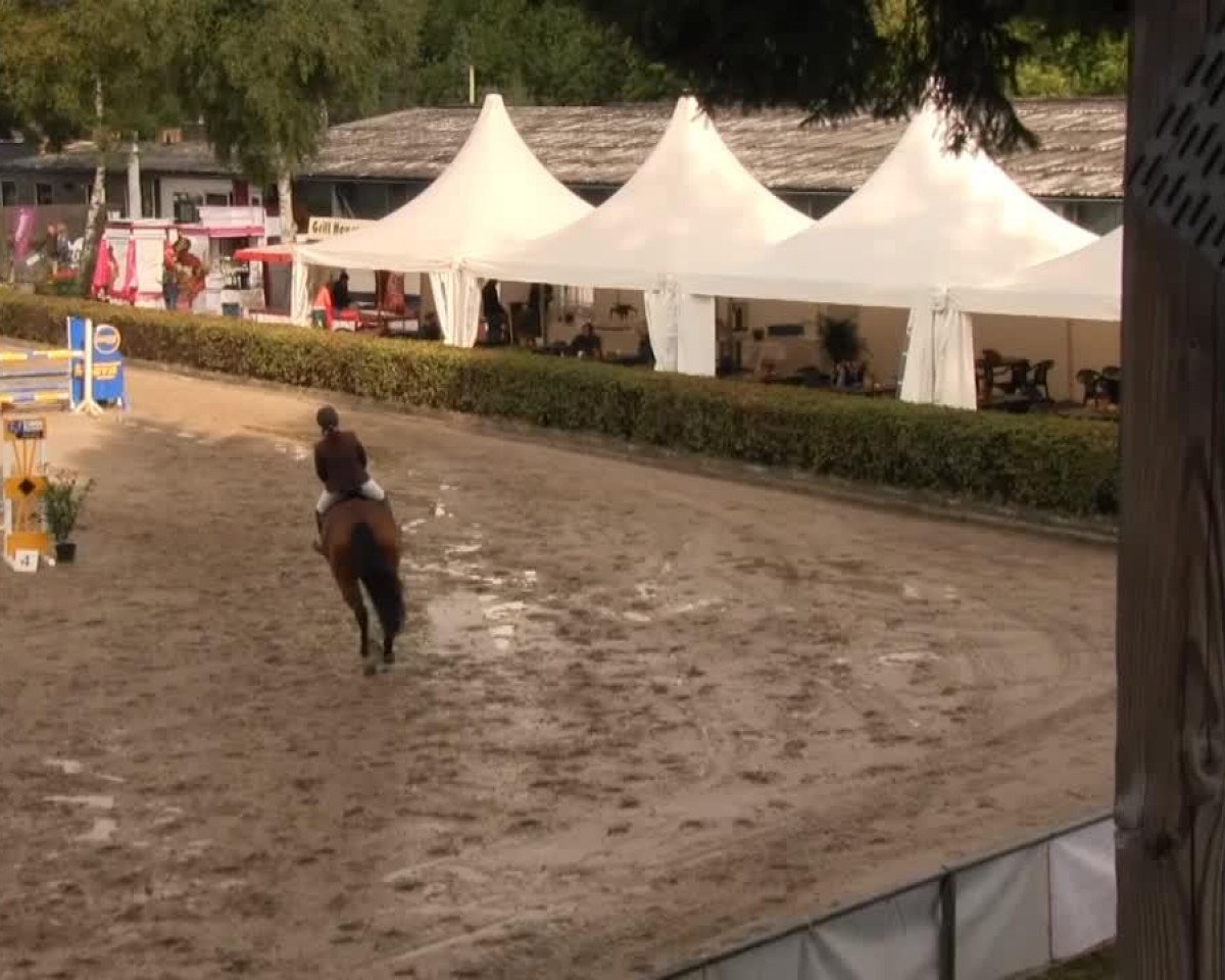 jumper Carlamior (Hanoverian, 2008, from Clinton H)