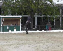 jumper Frieda S (Hanoverian, 2007, from For Edition)