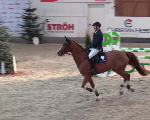Reitturnier Negernbötel 2021, 9. Nordic Jumping event 2020/2021