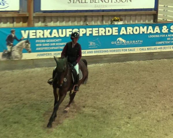 Reitturnier Negernbötel 2021, 9. Nordic Jumping event 2020/2021