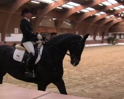 dressage horse Donna Margarita (Bavarian, 2006, from Rubin Royal OLD)