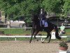 dressage horse Barnebie (Hanoverian, 2007, from Harmony's Baroncelli)