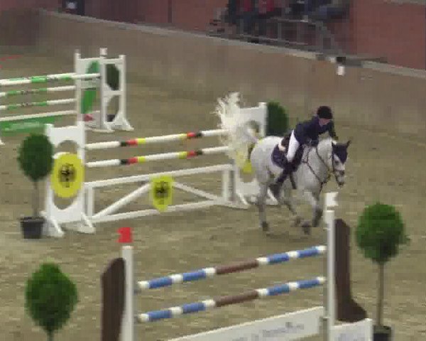 jumper Come As You Are (Oldenburg show jumper, 2006, from Champion For Pleasure)